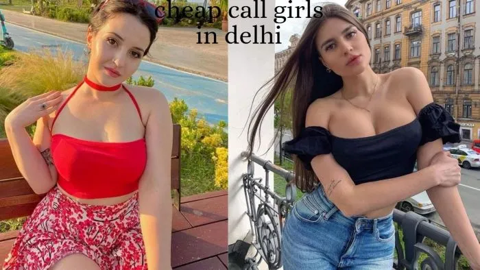 Malviya Nagar call girl
