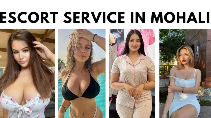 4 Model Working In Best Escort Service In Mohali