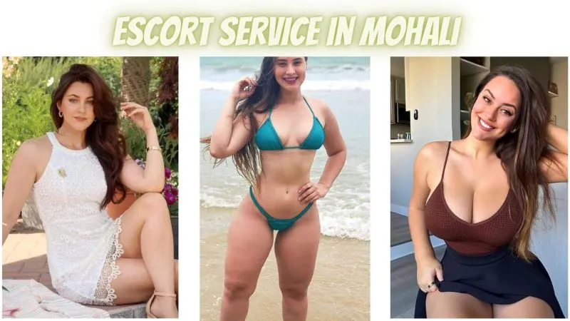 Escort Service In Mohali