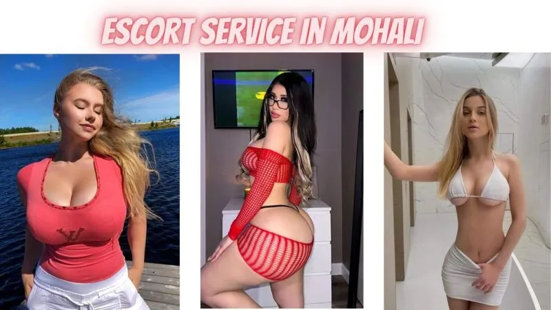 Luxury Escort Service In Delhi
