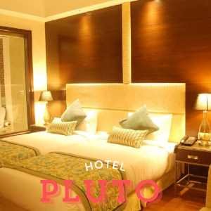 Hotel pluto Call Girls In Vasant kunj